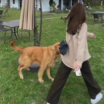 下一站你的世界